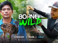 Born To Be Wild April 28 2024 Replay Full Episode